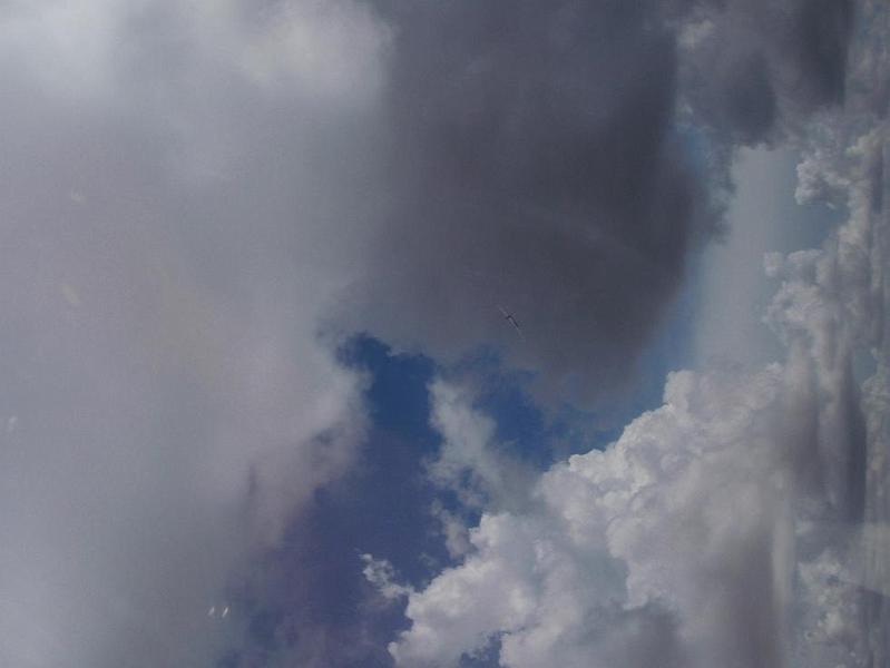 narromine2010 007.JPG